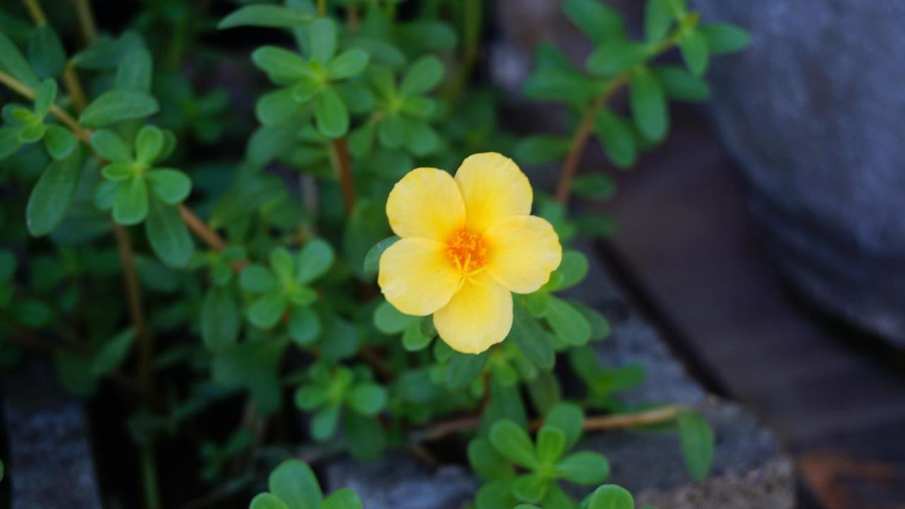 Homestay Bao Tran Ap Tan An  ภายนอก รูปภาพ